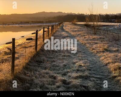 UK Weather: Frosty in Godalming. Tuesley Farm, Godalming. 16th February 2018. Wintry weather persisted for the Home Counties this morning. Frosty in Godalming in Surrey. Credit: jamesjagger/StockimoNews/Alamy Live News Stock Photo