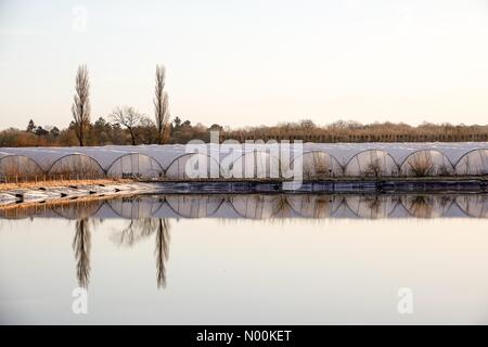 UK Weather: Frosty in Godalming. Tuesley Farm, Godalming. 16th February 2018. Wintry weather persisted for the Home Counties this morning. Frosty in Godalming in Surrey. Credit: jamesjagger/StockimoNews/Alamy Live News Stock Photo