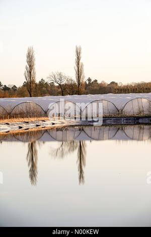 UK Weather: Frosty in Godalming. Tuesley Farm, Godalming. 16th February 2018. Wintry weather persisted for the Home Counties this morning. Frosty in Godalming in Surrey. Credit: jamesjagger/StockimoNews/Alamy Live News Stock Photo