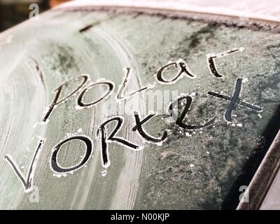 UK Weather: Frosty in Godalming. Sycamore Avenue, Godalming. 24th February 2018. A bitterly cold start to the day for the Home Counties. Frosty in Godalming, Surrey. Credit: jamesjagger/StockimoNews/Alamy Live News Stock Photo