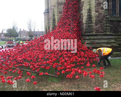 Weeping Window installation Hereford Cathedral - Hereford UK Saturday 10th March 2018 workers add ceramic poppies to the WW1 Weeping Window art installation which opens next week. Stock Photo