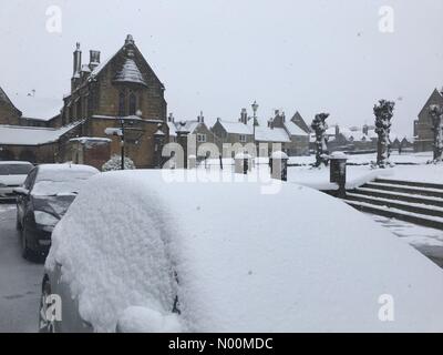 UK Weather: Sherborne, Dorset. Snow blankets cars in the historic market town of Sherborne as the so called mini Beast from the East brings another icy blast to the South West. Stock Photo