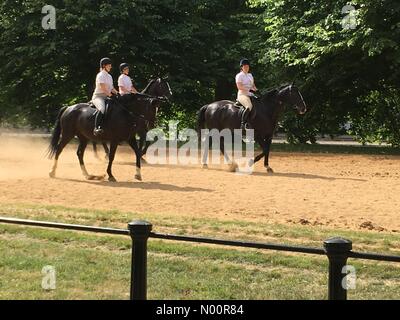 Hyde Park, London, UK. 16th Jun, 2018. UK Weather: Riders in sunshine on Rotten Row in Hyde Park London 16th June 2018 Credit: Janet Priddle/StockimoNews/Alamy Live News