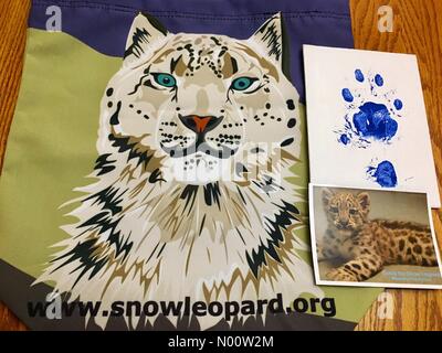 Milwaukee, USA. 27th July 2018. Cat Conservation Day at Milwaukee County Zoo, 27th July 2018, Milwaukee, WI, USA, Zoo hosts behind the scenes tours, education, artwork and sales for big cat conservation, DianaJ/StockimoNews/17�Թ����� Credit: Diana J./StockimoNews/17�Թ����� Live News Stock Photo