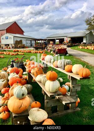 Cozy Nook Annual Farm Market, Waukesha, USA. 9th Oct 2018. 9th October ...