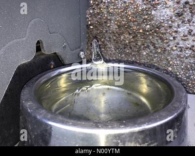 Glasgow, Scotland. 10th Dec 2018. UK weather. Icy conditions create an “upside down” icicle in a frozen water bowl. Credit: ALAN OLIVER/StockimoNews/Alamy Live News Stock Photo