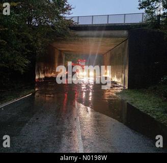 UK weather: Storm Ciarán brings 80mph winds and heavy rain to Devon ...