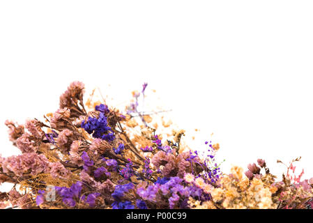 Summer colorful dry flowers isolated on white background Stock Photo