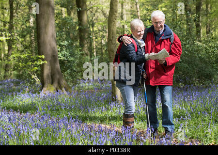 Senior Couple On Walk Through Bluebell Wood Looking At Map Stock Photo