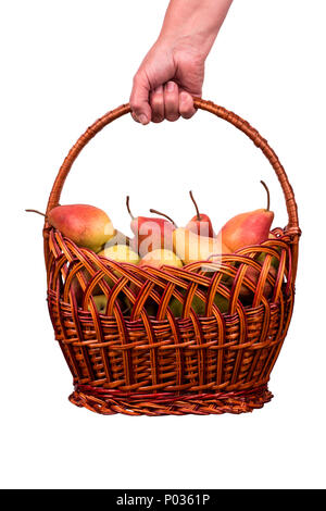 The woman holds in her hand a basket full of fresh pears on a white background Stock Photo