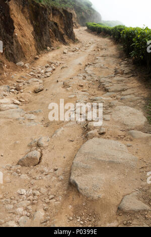 Bumpy road leading to the Kolukkumalai tea factory, Kerala, India. Stock Photo