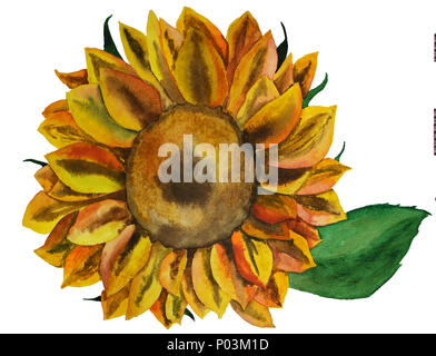 Sunflower illustration in watercolor with one leaf on white background Stock Photo