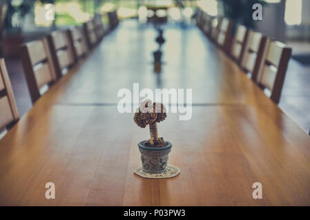 Big event, corporate or wedding wooden dinner table and chairs. Long wooden table with bonsai like decoration in small vase in event venue is ready fo Stock Photo