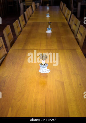 Big event, corporate or wedding wooden dinner table and chairs. Long wooden table with bonsai like decoration in small vase in event venue is ready fo Stock Photo