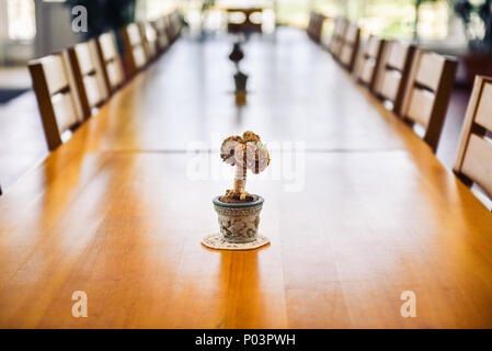 Big event, corporate or wedding wooden dinner table and chairs. Long wooden table with bonsai like decoration in small vase in event venue is ready fo Stock Photo