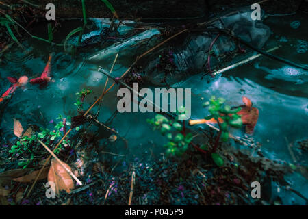 reflex on water with trash items on it Stock Photo