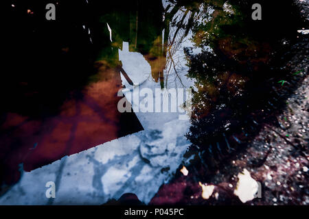 reflex on water with trash items on it Stock Photo