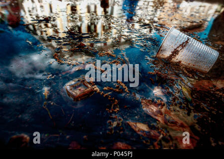 reflex on water with trash items on it Stock Photo