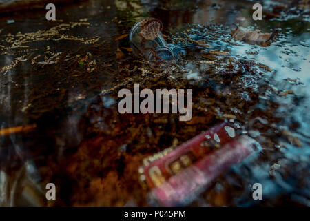 reflex on water with trash items on it Stock Photo