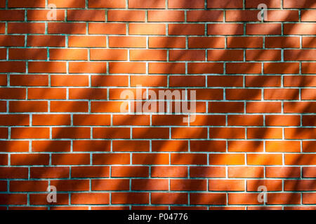 The shadow of a tree on red brick wall. Stock Photo