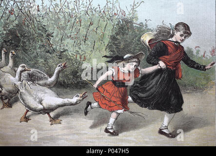 scarlet runners, geese attacking children, digital improved reproduction of an original print from the year 1881 Stock Photo