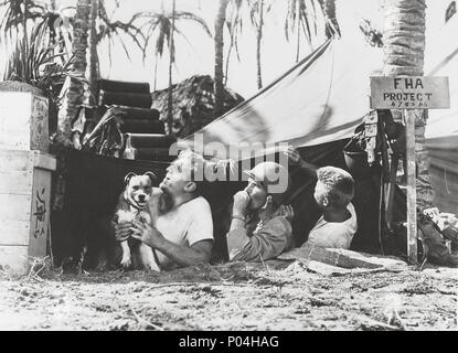 Original Film Title: GUADALCANAL DIARY. English Title: GUADALCANAL ...