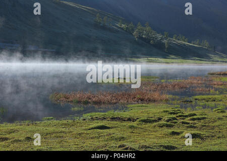 Swans in the mist, Yaze Lake, Kanas Lake National Park, Xinjiang, China Stock Photo