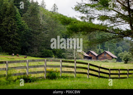 CATSKILLS, NY/USA - JULY 23, 2017: Bucolic summer scene in the Catskill Mountains, complete with horses and rustic farm. Stock Photo