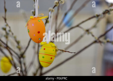 Easter eggs hanging from the willow branches. Easter decorations. Easter holidays. Stock Photo