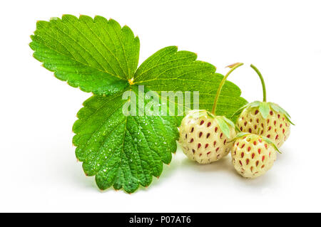 Pineberries (white strawberries) isolated Stock Photo