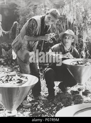 Original Film Title: ARACHNOPHOBIA.  English Title: ARACHNOPHOBIA.  Film Director: FRANK MARSHALL.  Year: 1990.  Stars: JULIAN SANDS. Credit: HOLLYWOOD PICTURES/AMBLIN / Album Stock Photo