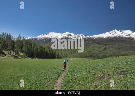 Trekking in northern wilderness, Kanas Lake National Park, Xinjiang, China Stock Photo