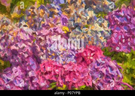 Digital art painting of an original photo of beautiful hydrangea flowers in close up. This impressionist oil painting canvas effect produces a beautif Stock Photo