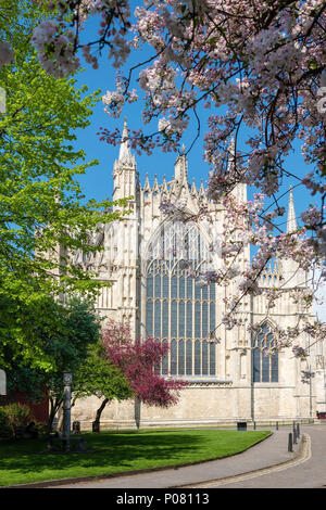 The Eastern façade of York Minster in Spring sunlight, York, UK Stock Photo