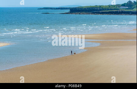 UK, Anglesey, Lligwy. 5th June 2018. A man and his dog on the beach at Lligwy. Stock Photo