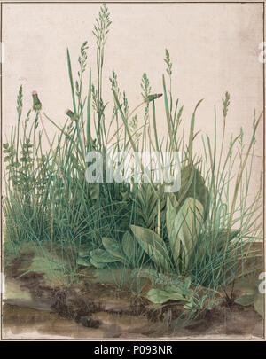 Albrecht Durer The Large Piece Of Turf Still Life Watercolour