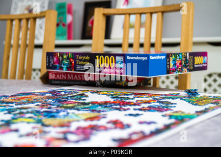 Large 1000 piece jigsaw puzzle pieces, multi colour, colourful educational family fun
