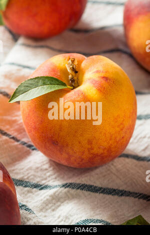 Raw Organic Orange Peaches Ready to Eat Stock Photo