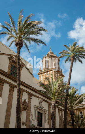 Palms in front of church Iglesia de Santiago Apóstol, Cádiz, Andalusia, Spain Stock Photo