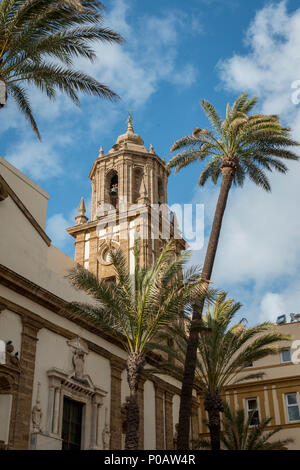 Palms in front of church Iglesia de Santiago Apóstol, Cádiz, Andalusia, Spain Stock Photo