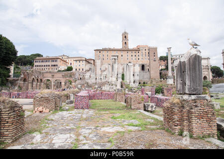 Rome, Italy. 08th June, 2018. Artistic installation 'Help the Ocean' created by the Italian artist Maria Cristina Finucci positioned on the remains of the Basilica Giulia in the Roman Forum Credit: Matteo Nardone/Pacific Press/Alamy Live News Stock Photo