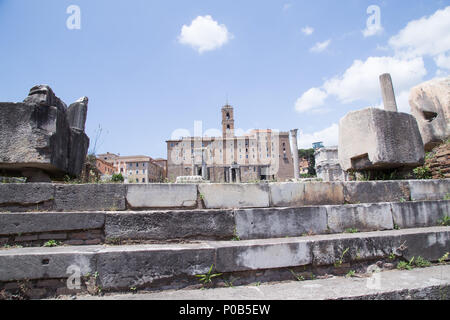 Rome, Italy. 08th June, 2018. Artistic installation 'Help the Ocean' created by the Italian artist Maria Cristina Finucci positioned on the remains of the Basilica Giulia in the Roman Forum Credit: Matteo Nardone/Pacific Press/Alamy Live News Stock Photo