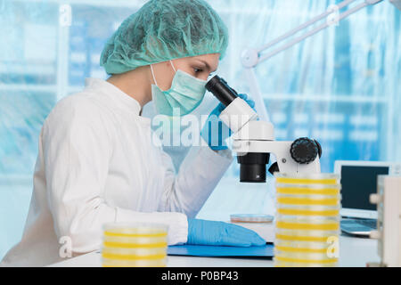 Scientist using a light microscope to examine microbial growth on a Petri dish. Stock Photo