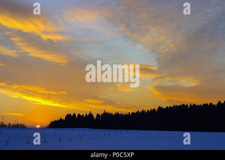 Sunset in winter with afterglow over a forest Stock Photo