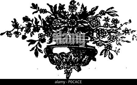 . English: Fleuron from book: An epistle from Calista to Altamont. 315 An epistle from Calista to Altamont. Fleuron T145368-3 Stock Photo