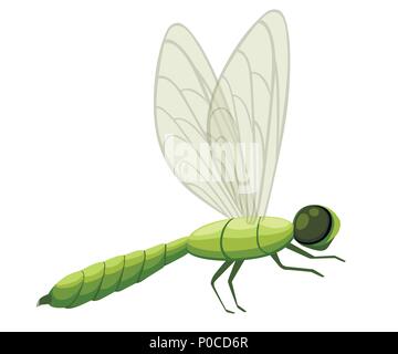 Green cartoon dragonfly illustration. Fly insect wildlife object. Flat vector illustration isolated on white background. Stock Vector