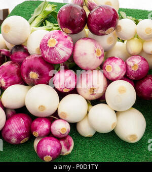Assorted Fresh Onion bulbs and Stalks on a table Stock Photo