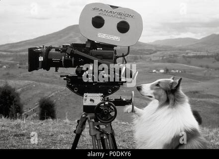 Original Film Title: LASSIE. English Title: LASSIE. Film Director ...