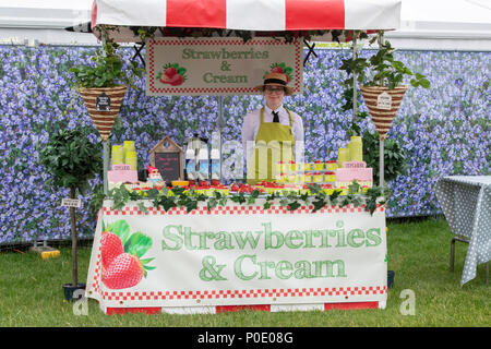 Strawberries and cream food stall at RHS Chatsworth flower show 2018. Chatsworth, Bakewell, Derbyshire, UK Stock Photo