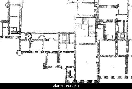 . English: Fleuron from book: Account of Hampton Court Palace. (From Lyson's Middlesex parishes.) 258 Account of Hampton Court Palace. (From Lyson's Middlesex parishes.) Fleuron T106164-4 Stock Photo